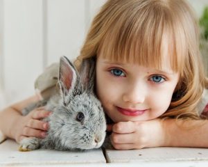 Rabbits make great vegan pets